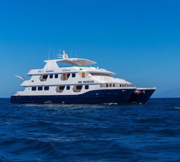 CORMORANT Yacht Charter Details, Custom CHARTERWORLD Luxury Superyachts